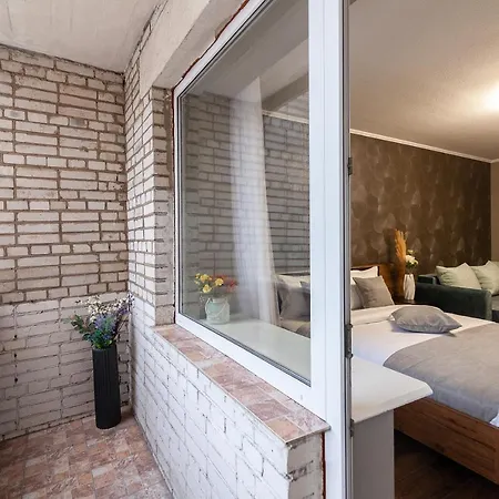 公寓 Alfa Franko 利沃夫